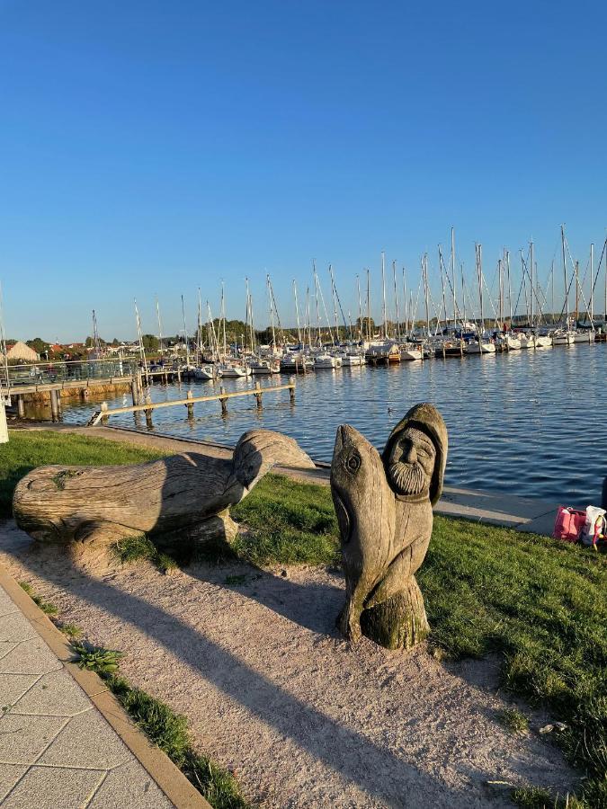 Top Ferienwohnung In Rerik - Nahe Salzhaff & Ostsee - Mit Gartenterrasse Exterior photo